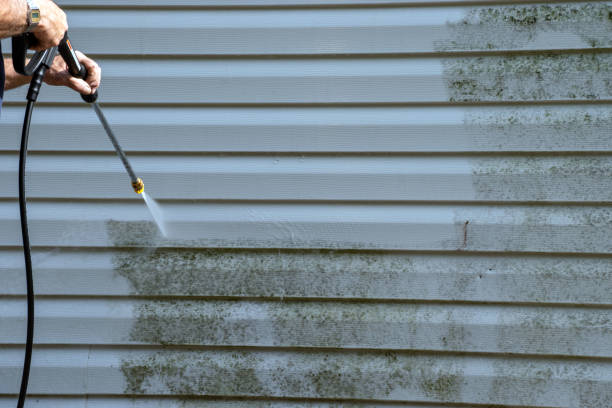 Best Property Management Cleanouts  in Desert Edge, CA